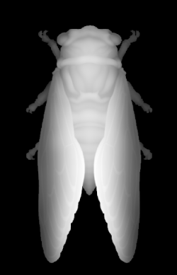 ֪