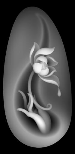 ɻָ